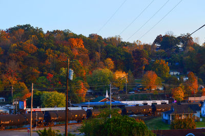 Trees by city against sky during autumn