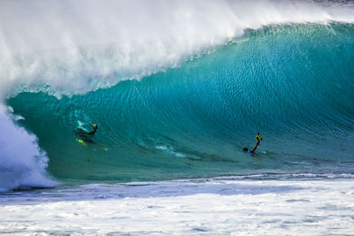 Whater photographers at work  in sea