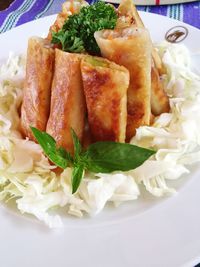 Close-up of served food