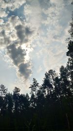 Low angle view of silhouette trees against sky