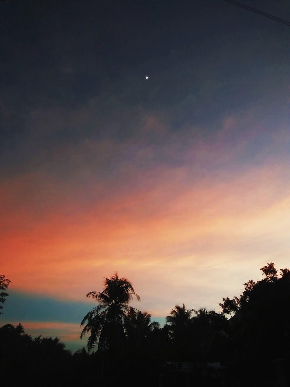 SILHOUETTE PALM TREES AGAINST SKY AT SUNSET