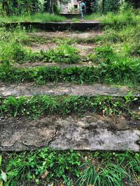 High angle view of railroad track