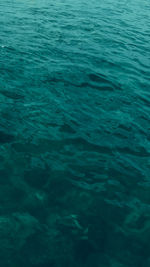 High angle view of swimming pool in sea