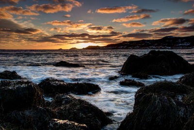 Rocks with seaweeds in sea against sky during sunset