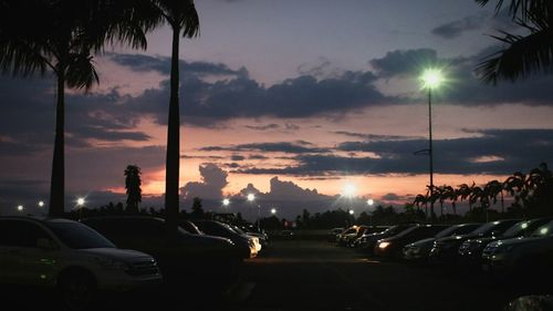 Cars on silhouette palm trees against sky during sunset