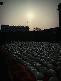 Flock of sheep against sky at sunset