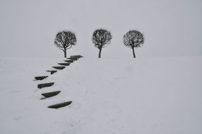 Scenic view of stairs on snow covered landscape