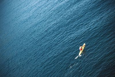 Reflection of trees in water