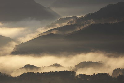 Scenic view of cloudscape over forest