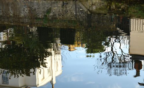 Reflection of trees in lake