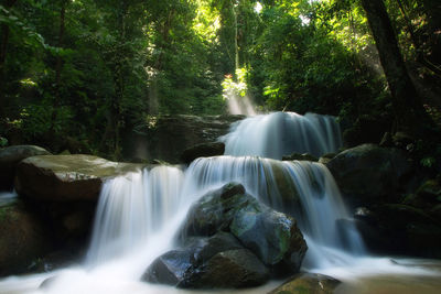 Scenic view of waterfall in forest