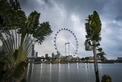 Ferris wheel by river against sky in city