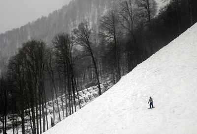 Scenic view of snow covered mountain