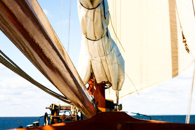 Sailboat sailing in sea against sky