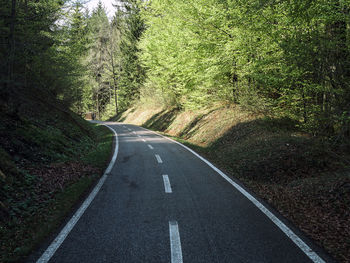 Empty road along trees