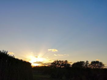 Silhouette trees against sky during sunset