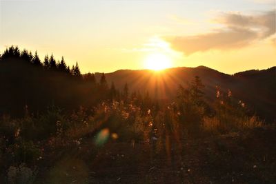 Scenic view of sunset