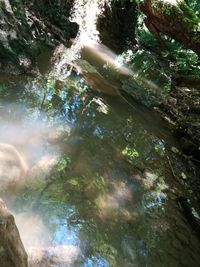 High angle view of lake in forest