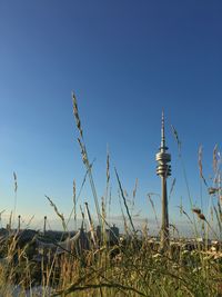 Low angle view of plants on field against clear blue sky