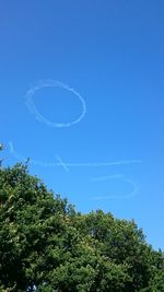 Low angle view of trees against blue sky