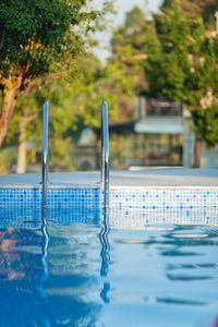 Swimming pool against trees