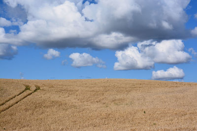 Scenic view of field against blue sky