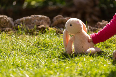 Close-up of stuffed toy on field