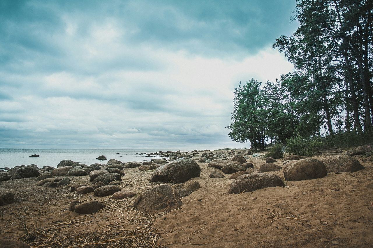 sky, cloud - sky, tranquility, tranquil scene, beach, scenics, water, nature, cloudy, sea, beauty in nature, cloud, shore, sand, tree, day, horizon over water, idyllic, outdoors, remote