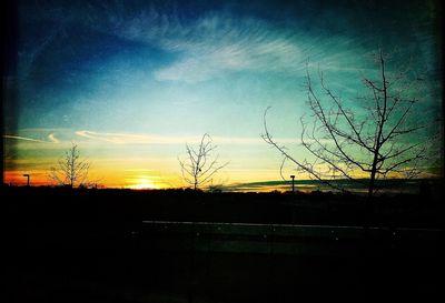 Silhouette of bare trees at sunset