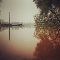 Reflection of trees in river