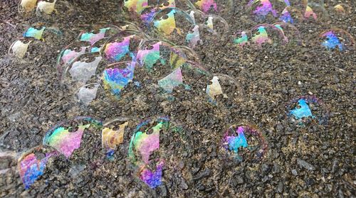 Close-up of multi colored bubbles