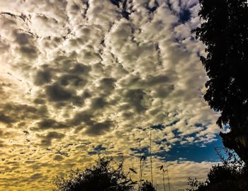 Low angle view of silhouette trees against sky