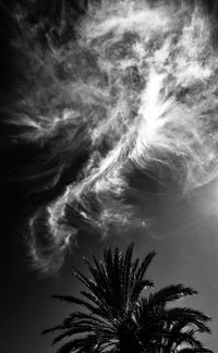 Low angle view of palm tree against sky