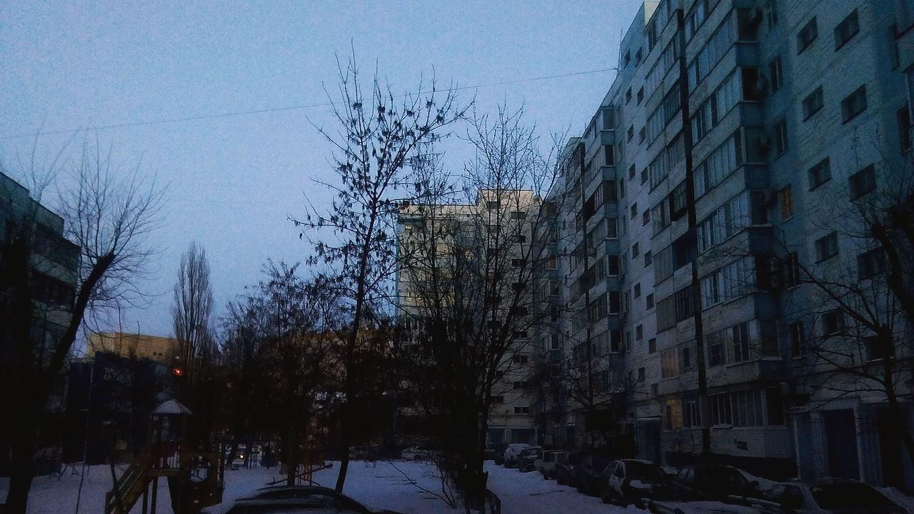 BARE TREES IN WINTER AGAINST SKY