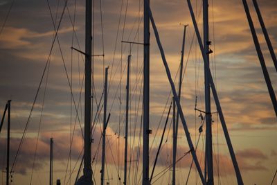 Close-up of silhouette plants against sky at sunset