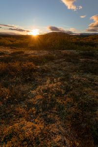 Scenic view of landscape against sky during sunset