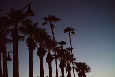 Low angle view of silhouette palm trees against clear sky