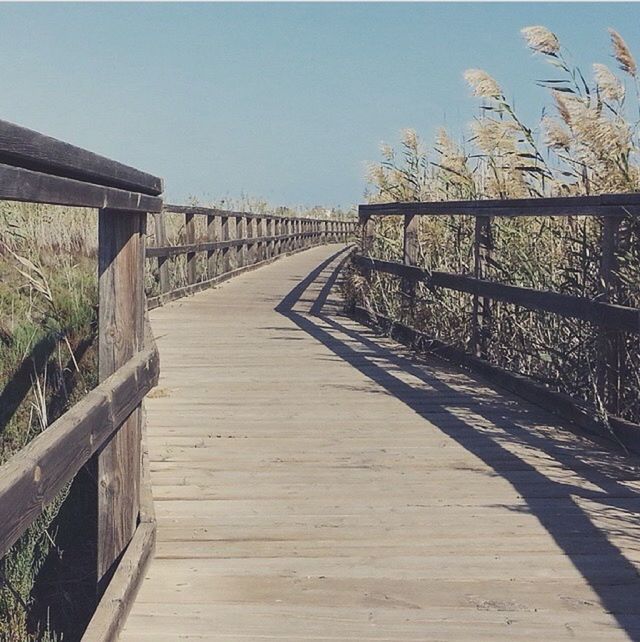 the way forward, railing, built structure, clear sky, wood - material, architecture, boardwalk, diminishing perspective, wooden, tree, sunlight, wood, footbridge, walkway, narrow, day, plant, no people, tranquility, sky