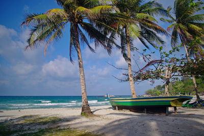 Palm trees on beach against sky