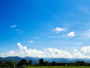 Scenic view of landscape against blue sky