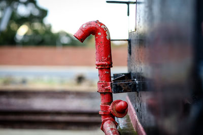 Close-up of red fruit on rusty metal