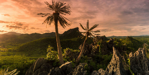 Scenic view of palm trees on landscape against sky