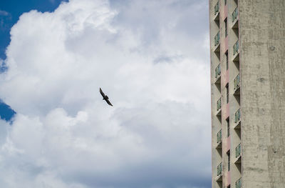 Low angle view of birds flying against cloudy sky