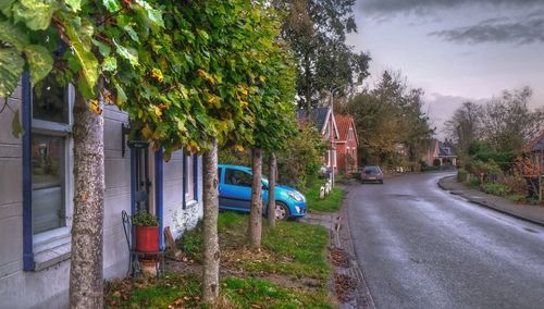 Cars on road by trees against sky