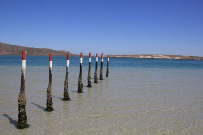 Wooden posts in sea against clear blue sky
