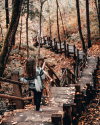 Rear view of woman standing amidst trees in forest