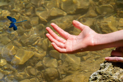 Close-up of hand on rock