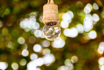 Vintage bulb tungsten on branch tree