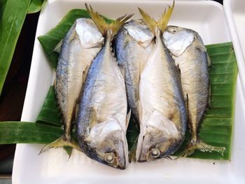 Close-up of seafood