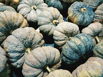 Full frame shot of pumpkins at market